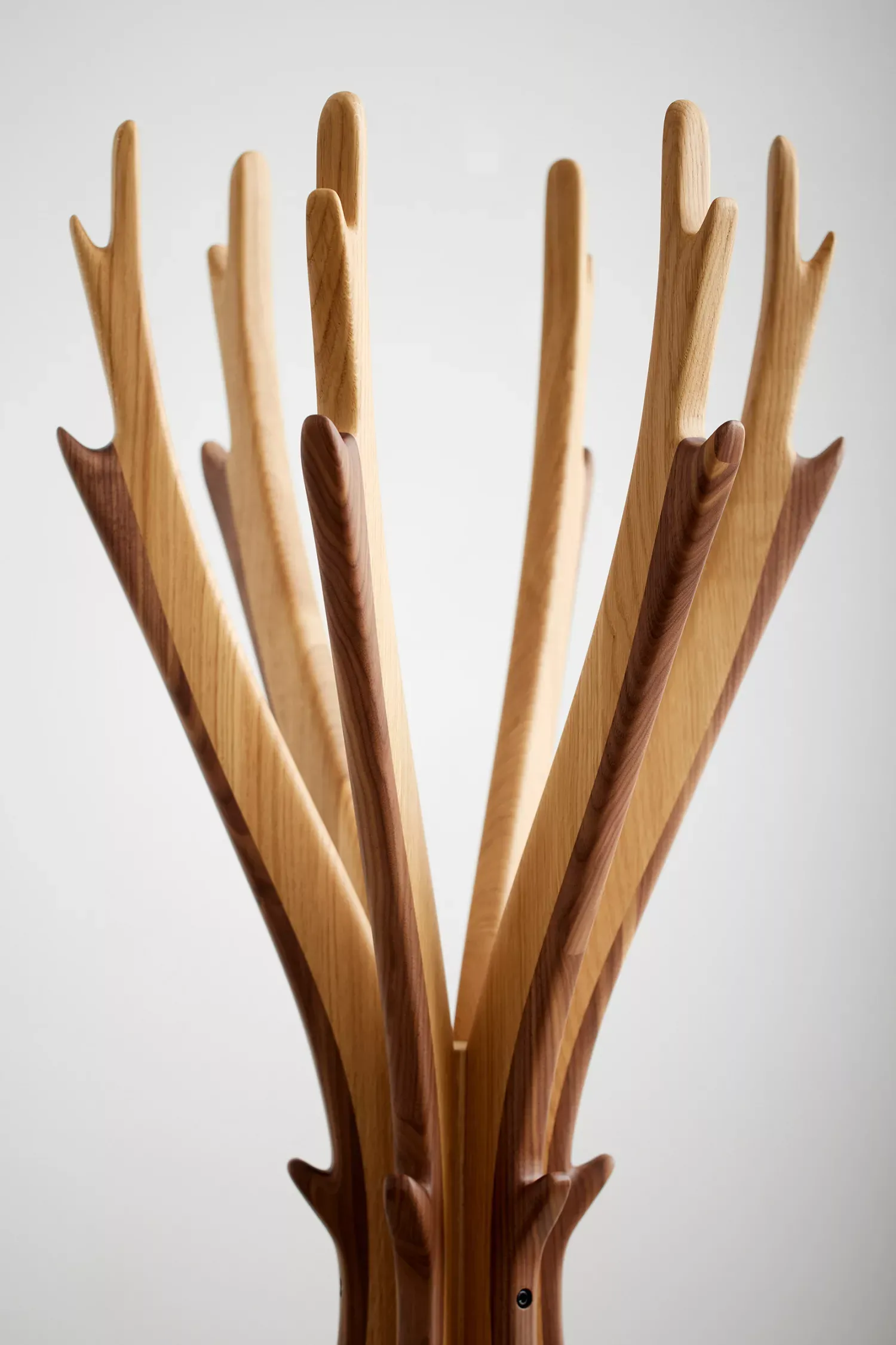 Antler — der Garderobenbaum mit Ästen aus Eiche und Nussbaum wie ein Hirschgeweih (Detail)
